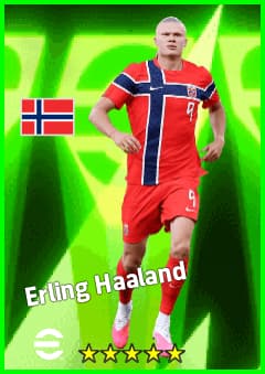 Erling Haaland