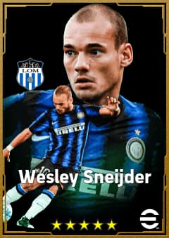 Wesley Sneijder