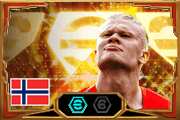 Erling Haaland